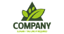 Triangle and Leaves Logo