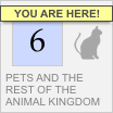 Animal Logos