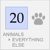 Animal Logos