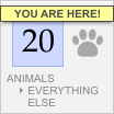 Animal Logos